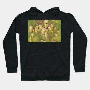 quacking Grass Hoodie